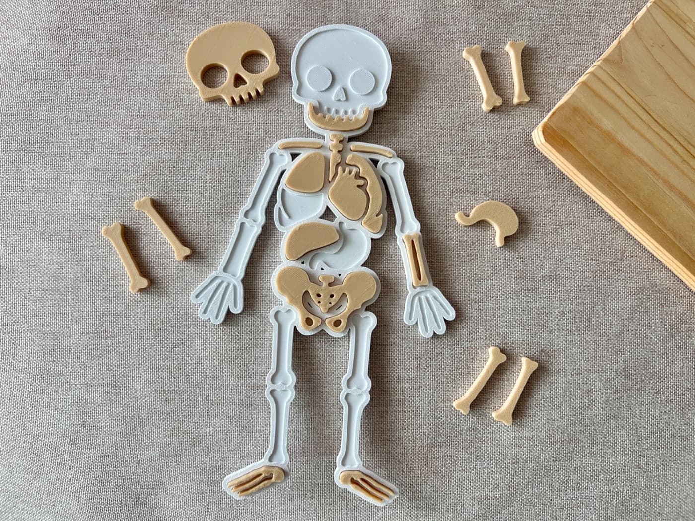 Quebra-cabeça Corpo Humano